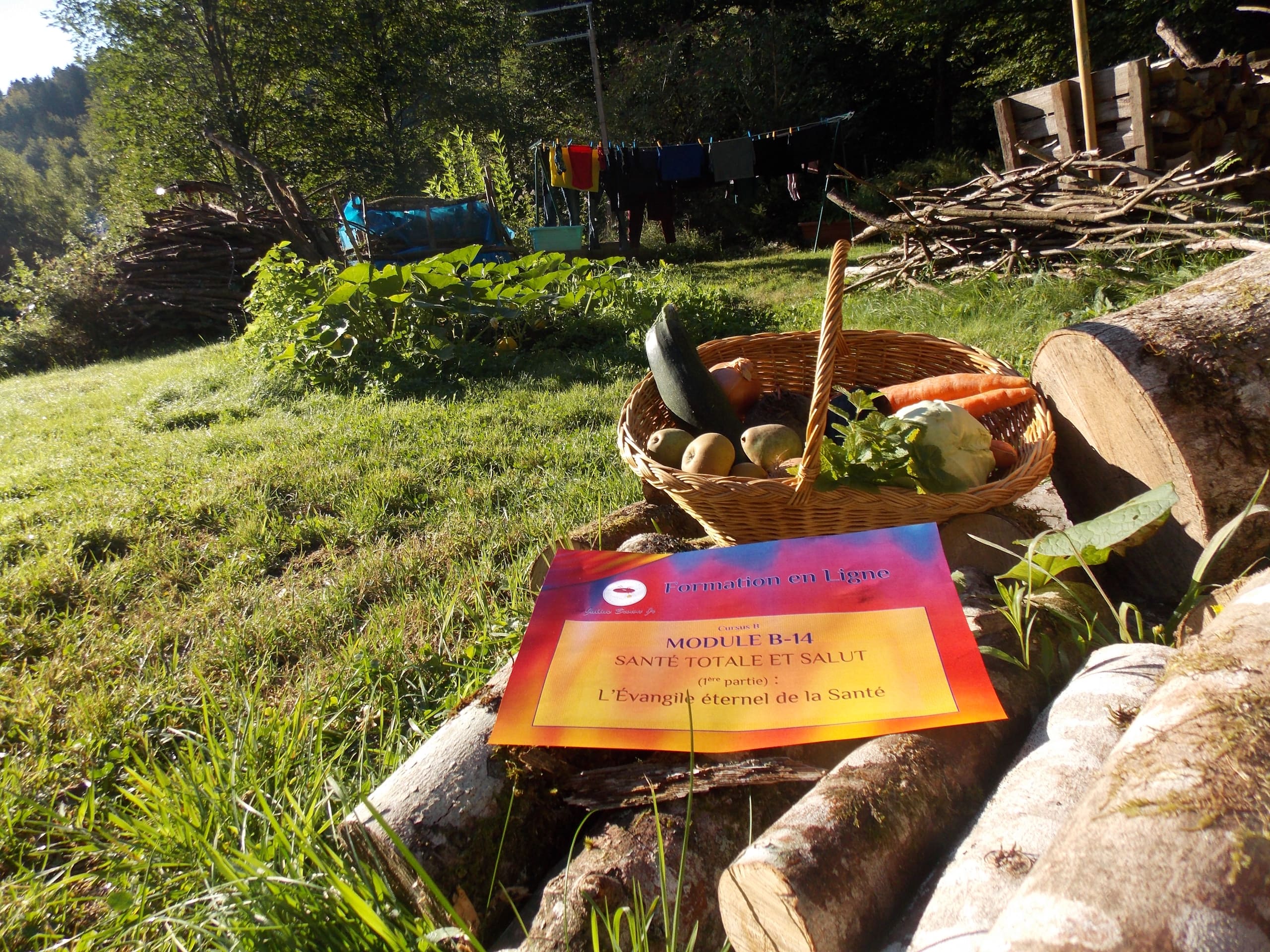 Module B14 - Image 2