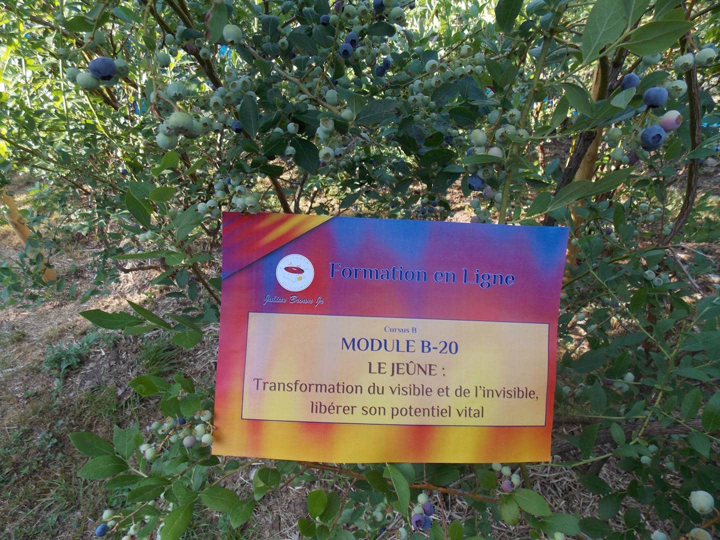 Module B-20 (Cursus B) - En Direct & Replay (jusqu'au 09/09) – Image 3